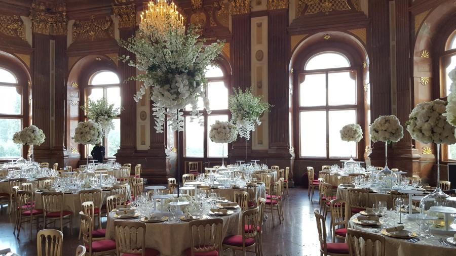 Goldstuhl mit Polster - Farbe: rot