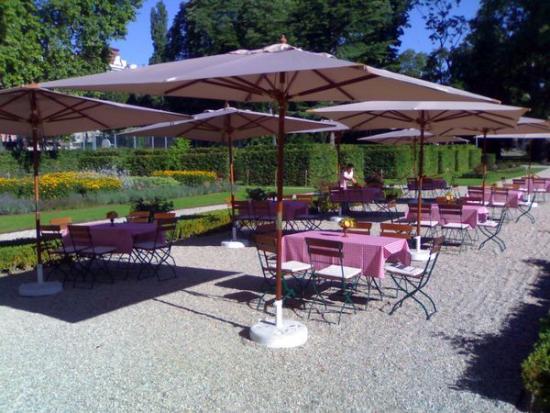 Gartenstuhl mit Holzlattung, rotbraun / gr�n