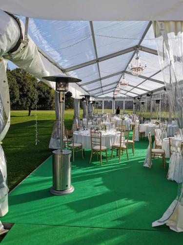 Polo Stuhl - Farbe: gold - Polster: creme-wei�
