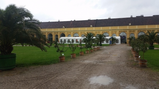 Festzelt - Breite: 6 m - Seitenh�he: 3 m - Firsth�he: 3,98 m