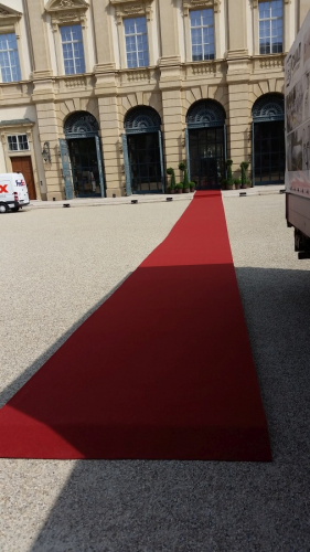 Teppich, bordeaux #249 - Folie: + PE