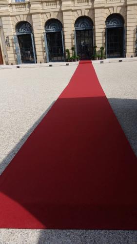 Teppich, bordeaux #249 - Folie: + PE