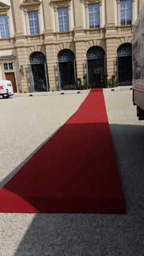 Teppich, bordeaux #249 - Folie: + PE