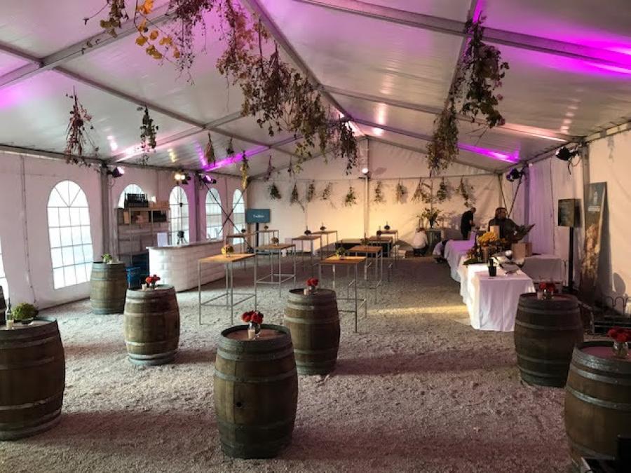 LED PAR Scheinwerfer - Variante: RGBWAUV + Zoom