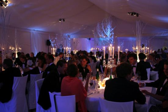 Seitennessel
