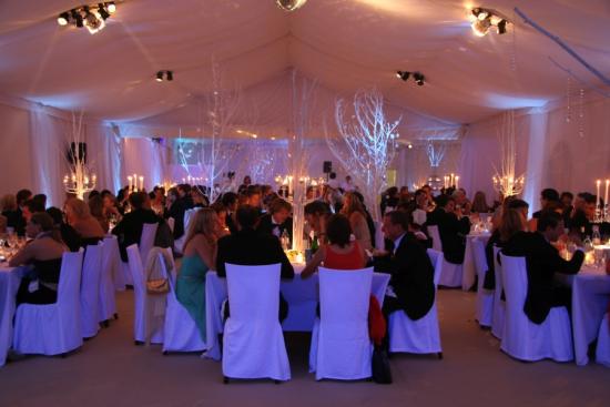 Seitennessel