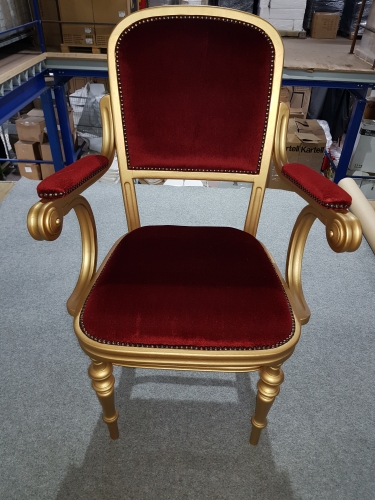 Goldener Thron mit roter Polsterung